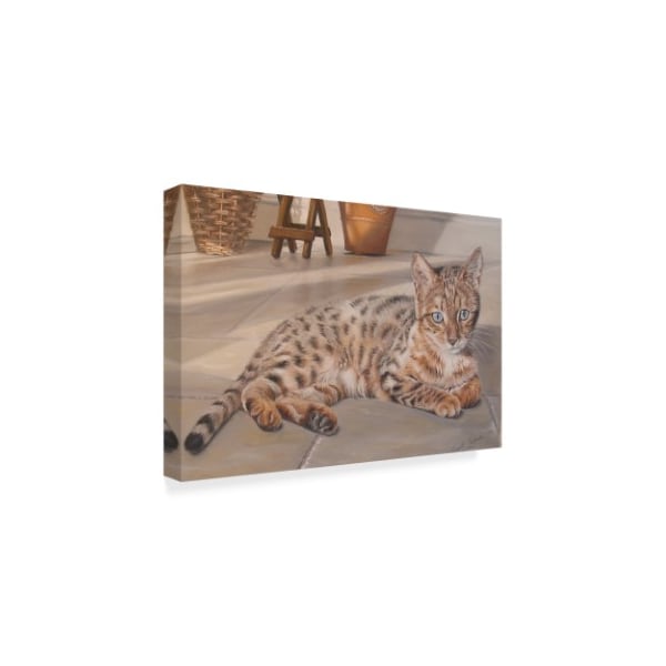 Janet Pidoux 'Bengal Kitten' Canvas Art,30x47